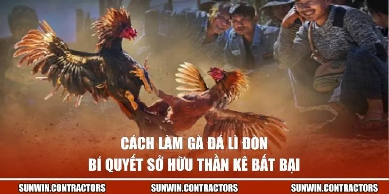 cách làm gà đá lì đòn