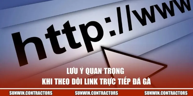 Lưu ý quan trọng khi theo dõi link đá gà trực tiếp